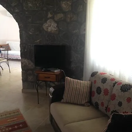 Ferienhaus Olive