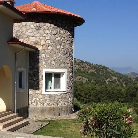 Olive Ortaca (Mugla)