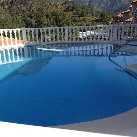 Olive Ortaca (Mugla)
