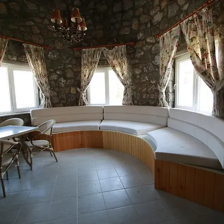 Olive Ortaca (Mugla)