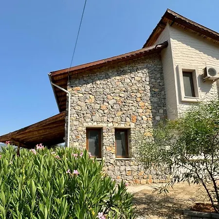 Olive Villa