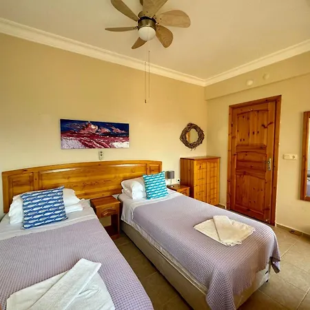 Olive Villa Fethiye