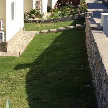 Tatil Evi Olive *